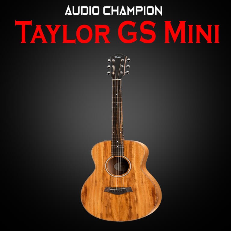 Taylor GS Mini